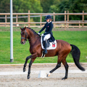 CDI Troisdorf 2023 - autumn