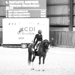 CDI Wroclaw 2023 - autumn
