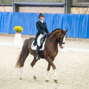CDI Wroclaw 2023 - autumn