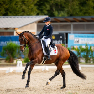 CDI Troisdorf 2023 - autumn