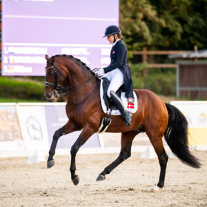 CDI Troisdorf 2023 - autumn