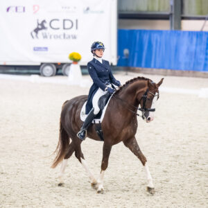 CDI Wroclaw 2023 - autumn