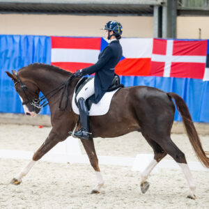 CDI Wroclaw 2023 - autumn