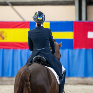 CDI Wroclaw 2023 - autumn