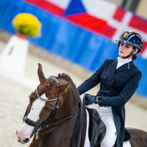 CDI Wroclaw 2023 - autumn