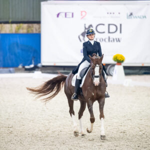CDI Wroclaw 2023 - autumn