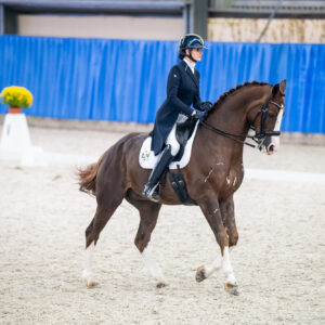 CDI Wroclaw 2023 - autumn