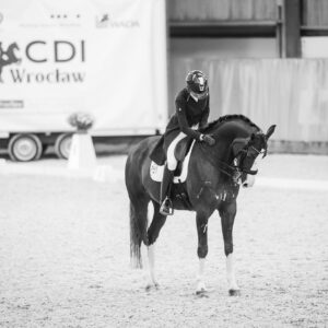 CDI Wroclaw 2023 - autumn