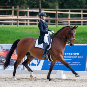 CDI Troisdorf 2023 - autumn