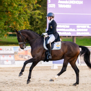 CDI Troisdorf 2023 - autumn