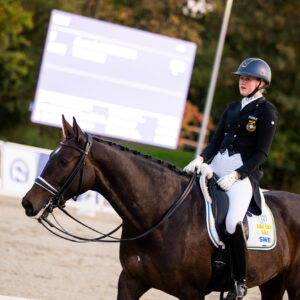CDI Troisdorf 2023 - autumn