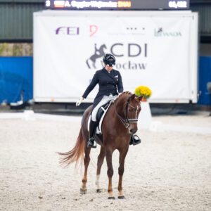 CDI Wroclaw 2023 - autumn