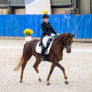 CDI Wroclaw 2023 - autumn