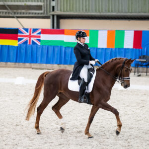 CDI Wroclaw 2023 - autumn