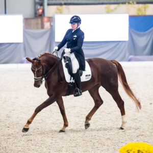 CDI Wroclaw 2023 - autumn