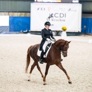 CDI Wroclaw 2023 - autumn