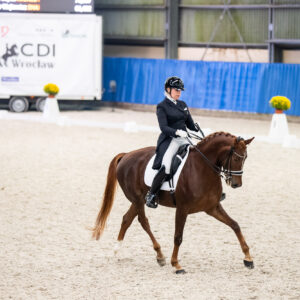 CDI Wroclaw 2023 - autumn