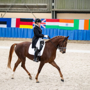 CDI Wroclaw 2023 - autumn