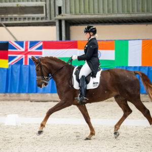 CDI Wroclaw 2023 - autumn