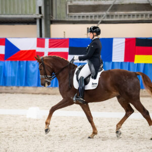 CDI Wroclaw 2023 - autumn