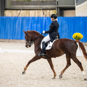 CDI Wroclaw 2023 - autumn
