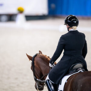 CDI Wroclaw 2023 - autumn