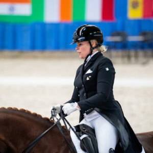 CDI Wroclaw 2023 - autumn
