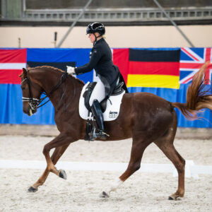 CDI Wroclaw 2023 - autumn