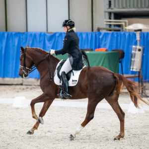 CDI Wroclaw 2023 - autumn