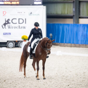 CDI Wroclaw 2023 - autumn