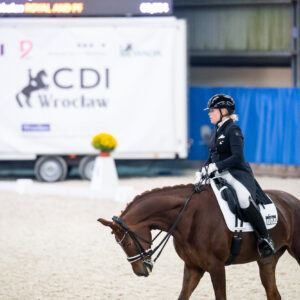 CDI Wroclaw 2023 - autumn