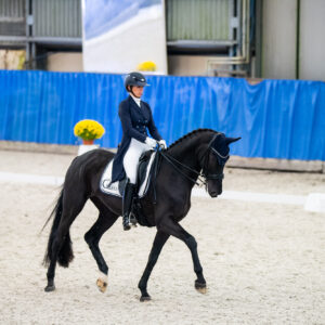 CDI Wroclaw 2023 - autumn