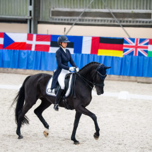 CDI Wroclaw 2023 - autumn
