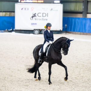 CDI Wroclaw 2023 - autumn