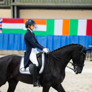 CDI Wroclaw 2023 - autumn