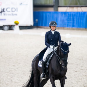 CDI Wroclaw 2023 - autumn