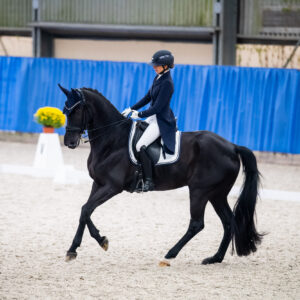 CDI Wroclaw 2023 - autumn
