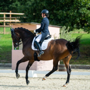 CDI Troisdorf 2023 - autumn