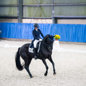 CDI Wroclaw 2023 - autumn