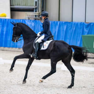 CDI Wroclaw 2023 - autumn