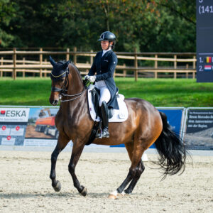 CDI Troisdorf 2023 - autumn