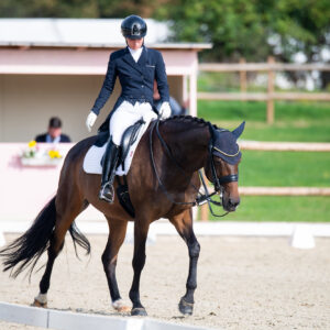 CDI Troisdorf 2023 - autumn