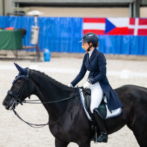 CDI Wroclaw 2023 - autumn