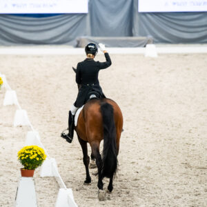 CDI Wroclaw 2023 - autumn