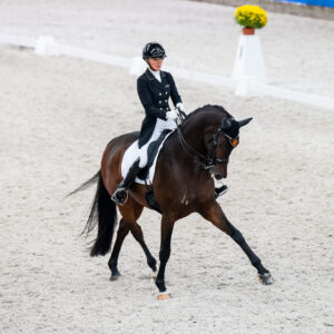 CDI Wroclaw 2023 - autumn