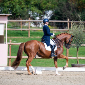 CDI Troisdorf 2023 - autumn