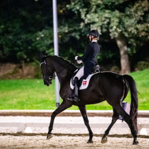 CDI Troisdorf 2023 - autumn