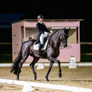 CDI Troisdorf 2023 - autumn