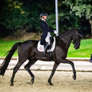 CDI Troisdorf 2023 - autumn