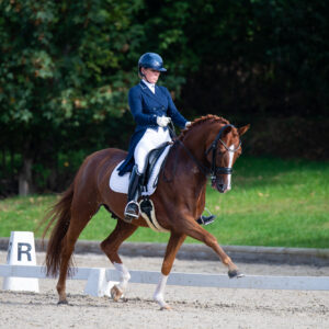 CDI Troisdorf 2023 - autumn